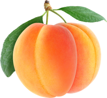 fruitsfruits & Apricot free transparent png image.