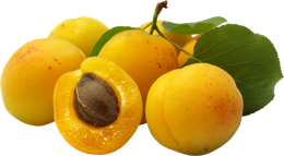 fruitsfruits & Apricot free transparent png image.