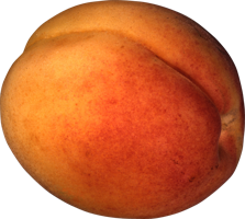 fruitsfruits & apricot free transparent png image.