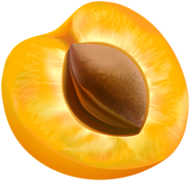 fruitsfruits & apricot free transparent png image.