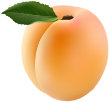 fruitsfruits & apricot free transparent png image.