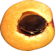 fruitsfruits & Apricot free transparent png image.