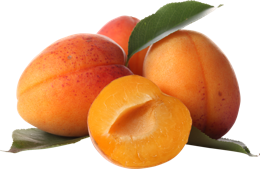 fruitsfruits & apricot free transparent png image.