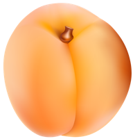 fruitsfruits & apricot free transparent png image.