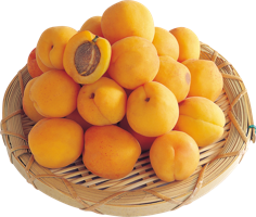 fruitsfruits & apricot free transparent png image.