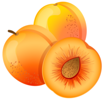 fruits & apricot free transparent png image.