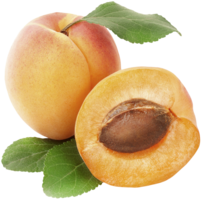 fruits & apricot free transparent png image.