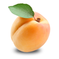 fruits & Apricot free transparent png image.