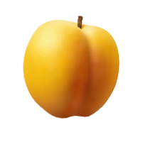 fruits & apricot free transparent png image.