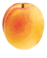 fruits & Apricot free transparent png image.