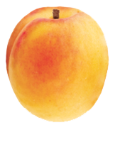 fruits & apricot free transparent png image.