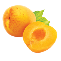 fruits & Apricot free transparent png image.