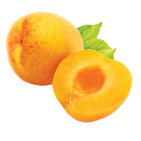 fruits & apricot free transparent png image.