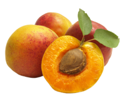 fruits & apricot free transparent png image.