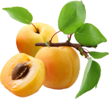 fruits & apricot free transparent png image.