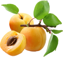 fruits & Apricot free transparent png image.