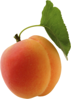 fruits & Apricot free transparent png image.