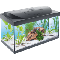 furniture & Aquarium free transparent png image.