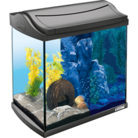 furniture & Aquarium free transparent png image.