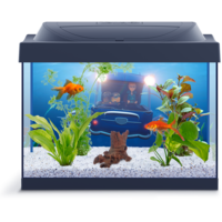 furniture & Aquarium free transparent png image.