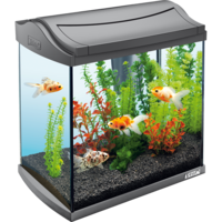 furniture & aquarium free transparent png image.