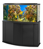 furniture & Aquarium free transparent png image.