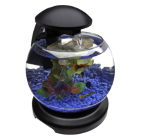 furniture & Aquarium free transparent png image.