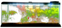 furniture & Aquarium free transparent png image.