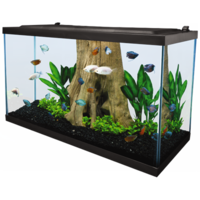 furniture & aquarium free transparent png image.