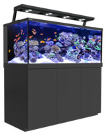 furniture & Aquarium free transparent png image.