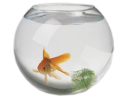 furniture & Aquarium free transparent png image.