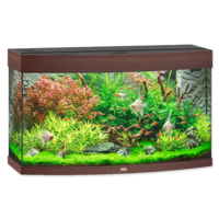 furniture & Aquarium free transparent png image.