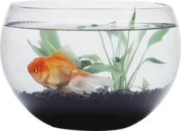 furniture & Aquarium free transparent png image.