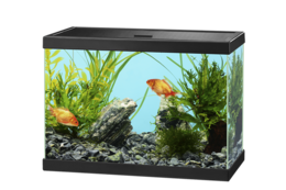 furniture & aquarium free transparent png image.