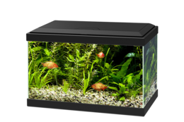 furniture & Aquarium free transparent png image.