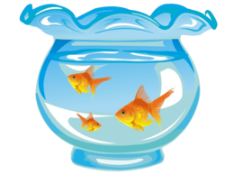 furniture & aquarium free transparent png image.