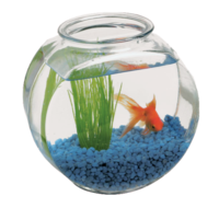 furniture & Aquarium free transparent png image.