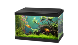 furniture & aquarium free transparent png image.