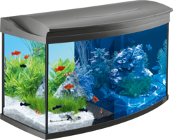 furniture & Aquarium free transparent png image.