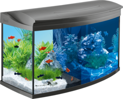 furniture & aquarium free transparent png image.