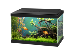 furniture & Aquarium free transparent png image.