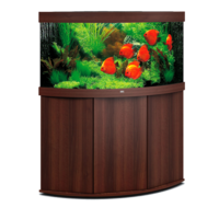 furniture & aquarium free transparent png image.