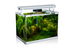 furniture & Aquarium free transparent png image.