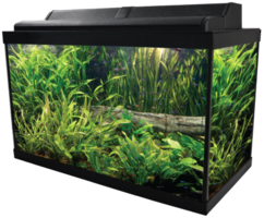 furniture & Aquarium free transparent png image.