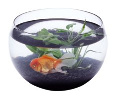 furniture & aquarium free transparent png image.