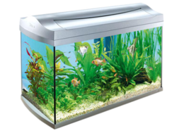 furniture & Aquarium free transparent png image.