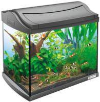 furniture & Aquarium free transparent png image.