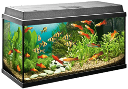 furniture & Aquarium free transparent png image.