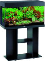 furniture & Aquarium free transparent png image.