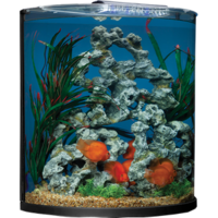 furniture & aquarium free transparent png image.